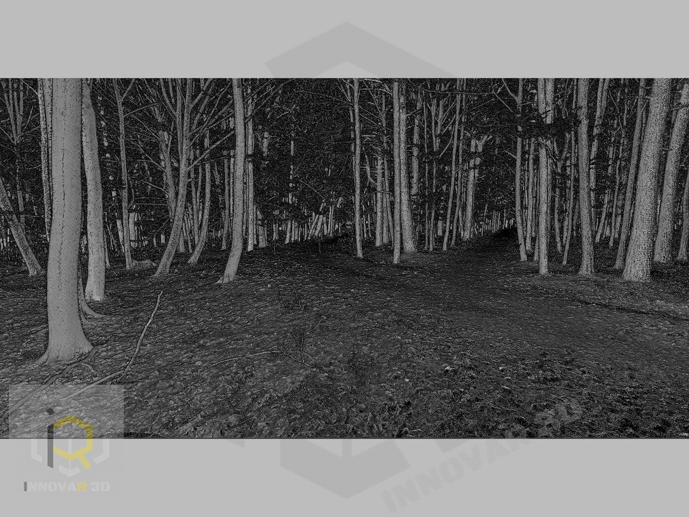 Skan 3D lasu inwentaryzacja Skanowanie 3D drzewa